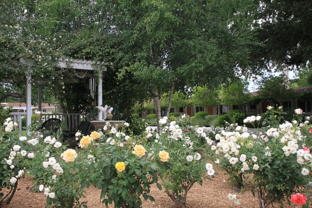 Meadowlark Inn Solvang Exterior foto