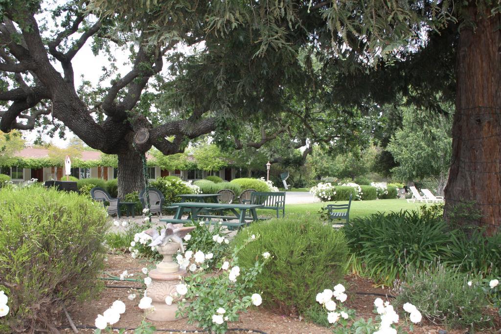 Meadowlark Inn Solvang Exterior foto