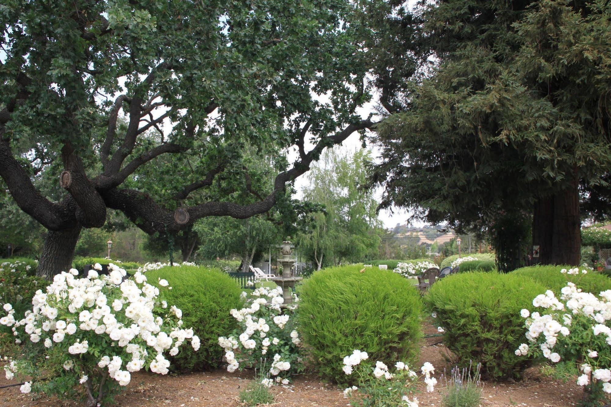 Meadowlark Inn Solvang Exterior foto